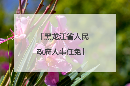 黑龙江省人民政府人事任免