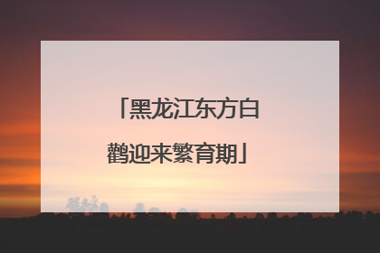 黑龙江东方白鹳迎来繁育期