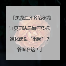 黑龙江齐齐哈尔龙江县司法局如何凭标准化建设“出圈”？答案在这！