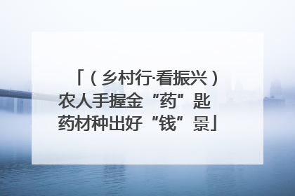 （乡村行·看振兴）农人手握金“药”匙 药材种出好“钱”景