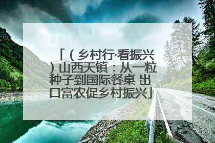 （乡村行·看振兴）山西天镇：从一粒种子到国际餐桌 出口富农促乡村振兴