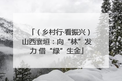 （乡村行·看振兴）山西襄垣：向“林”发力 借“绿”生金