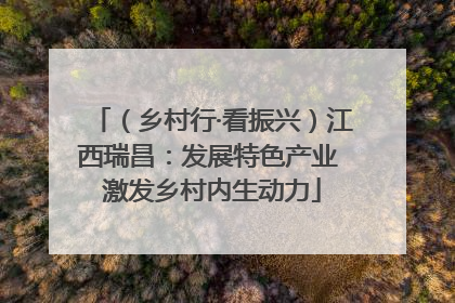 （乡村行·看振兴）江西瑞昌：发展特色产业 激发乡村内生动力