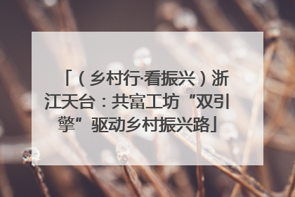 （乡村行·看振兴）浙江天台：共富工坊“双引擎”驱动乡村振兴路