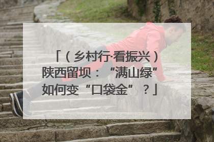 （乡村行·看振兴）陕西留坝：“满山绿”如何变“口袋金”？