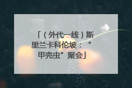 （外代一线）斯里兰卡科伦坡：“甲壳虫”聚会