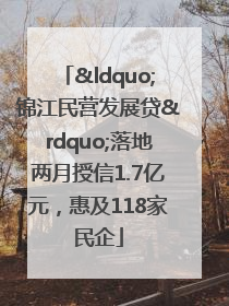 “锦江民营发展贷”落地两月授信1.7亿元，惠及118家民企