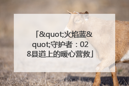 "火焰蓝"守护者：028县道上的暖心营救