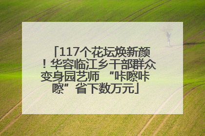 117个花坛焕新颜！华容临江乡干部群众变身园艺师 “咔嚓咔嚓”省下数万元