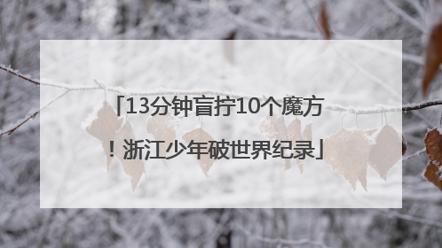 13分钟盲拧10个魔方！浙江少年破世界纪录