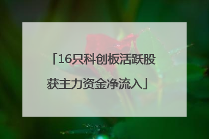 16只科创板活跃股获主力资金净流入