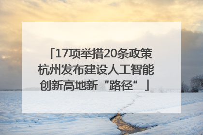 17项举措20条政策 杭州发布建设人工智能创新高地新“路径”