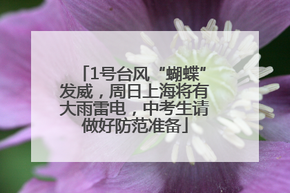 1号台风“蝴蝶”发威，周日上海将有大雨雷电，中考生请做好防范准备