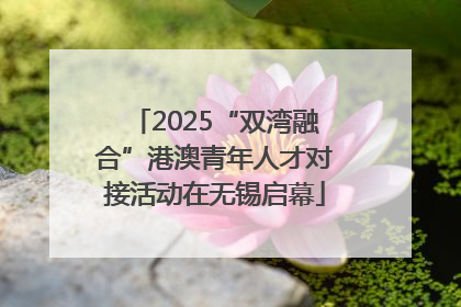 2025“双湾融合”港澳青年人才对接活动在无锡启幕