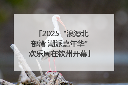 2025“浪漫北部湾 潮派嘉年华”欢乐周在钦州开幕