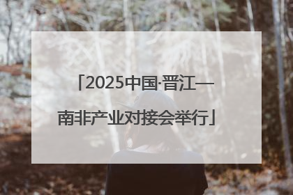2025中国·晋江—南非产业对接会举行