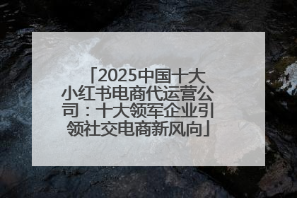 2025中国十大小红书电商代运营公司：十大领军企业引领社交电商新风向