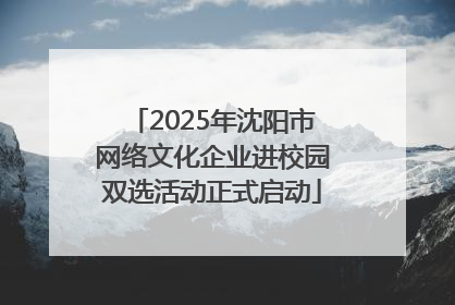 2025年沈阳市网络文化企业进校园双选活动正式启动