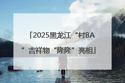 2025黑龙江“村BA”吉祥物“隆隆”亮相