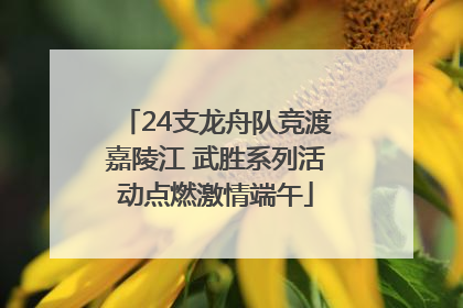 24支龙舟队竞渡嘉陵江 武胜系列活动点燃激情端午