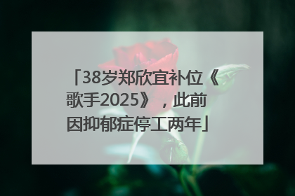 38岁郑欣宜补位《歌手2025》，此前因抑郁症停工两年