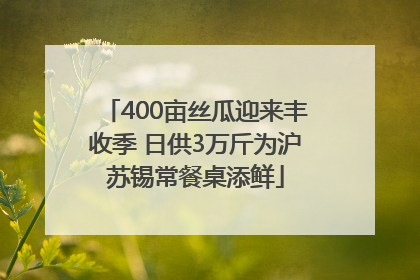 400亩丝瓜迎来丰收季 日供3万斤为沪苏锡常餐桌添鲜