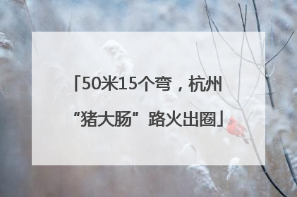 50米15个弯，杭州“猪大肠”路火出圈