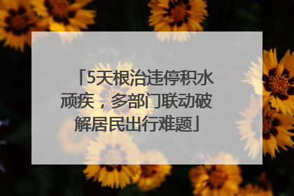 5天根治违停积水顽疾，多部门联动破解居民出行难题