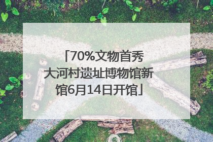 70%文物首秀 大河村遗址博物馆新馆6月14日开馆