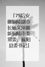 75后安徽铜陵副市长杨文萍履新铜陵市委常委、枞阳县委书记