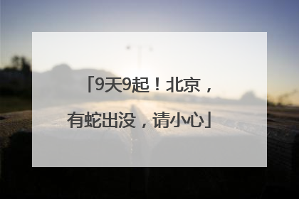 9天9起！北京，有蛇出没，请小心