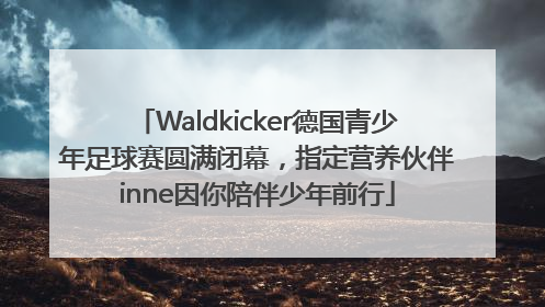 Waldkicker德国青少年足球赛圆满闭幕，指定营养伙伴inne因你陪伴少年前行
